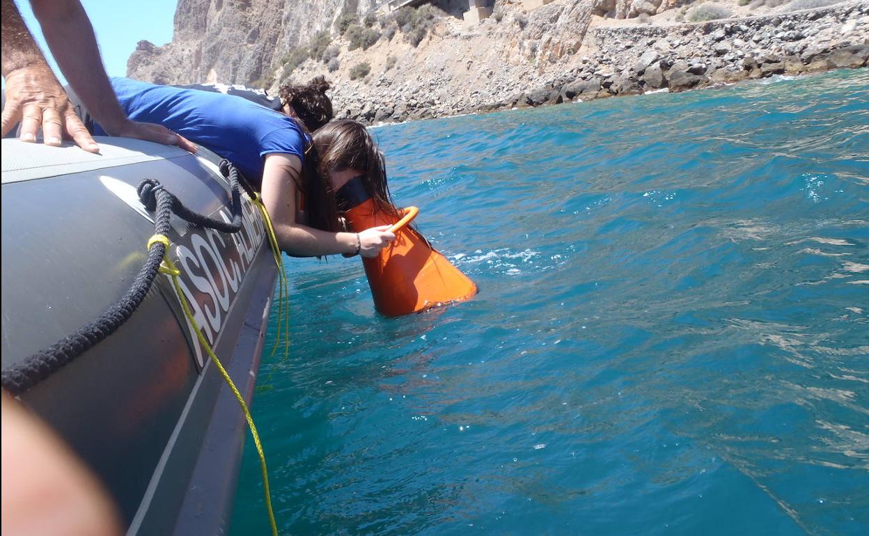 Turismo con probeta y matraz: el nuevo nicho para viajeros que explora Roquetas de Mar