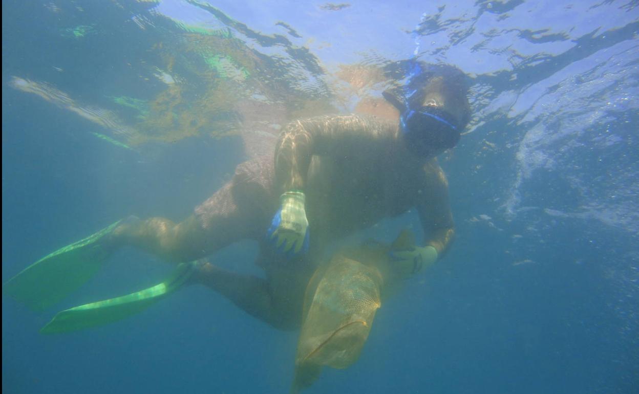 Clubes de buceo, Ayuntamiento e Hidralia se unen para limpiar los fondos marinos de Aguadulce