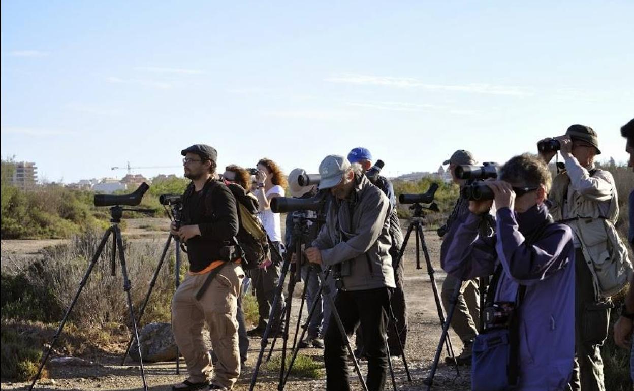 Un grupo de turistas ornitológicos procedentes de Suiza observa aves en la Ribera de la Algaida. 