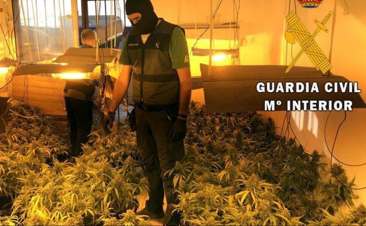 Imagen de la operación