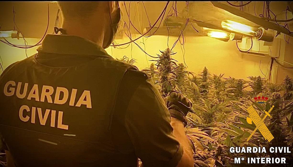 El interior de la plantación de cannabis de Roquetas.