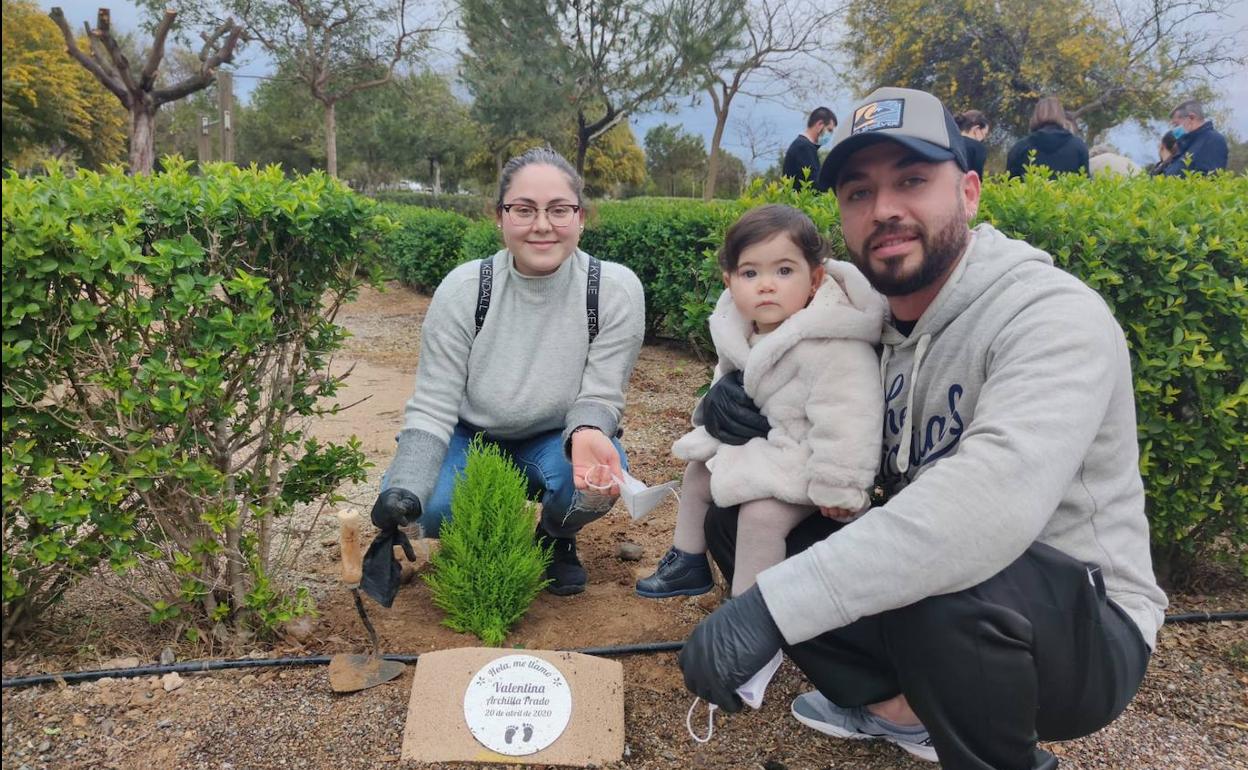 Imagen de la plantación de árboles del año pasado. 