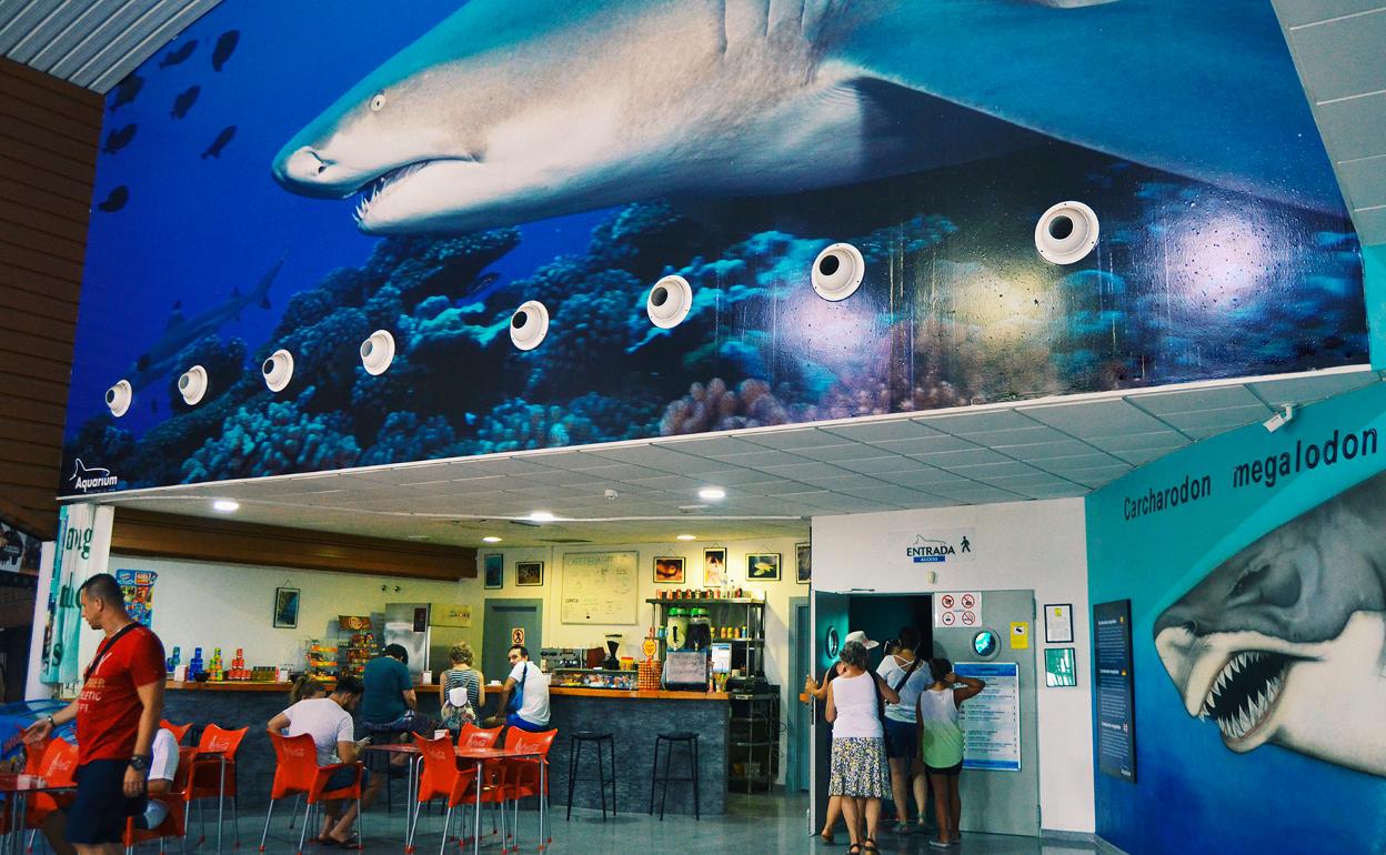 El Aquarium instalará energía solar tras pasar de pagar 6.000 a 20.000 euros de luz al mes