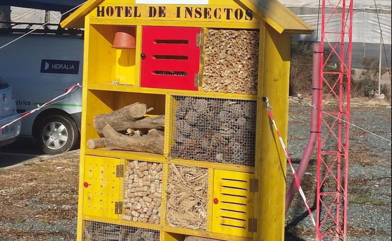Insectos, aves y murciélagos ya tienen un refugio en la depuradora de Roquetas