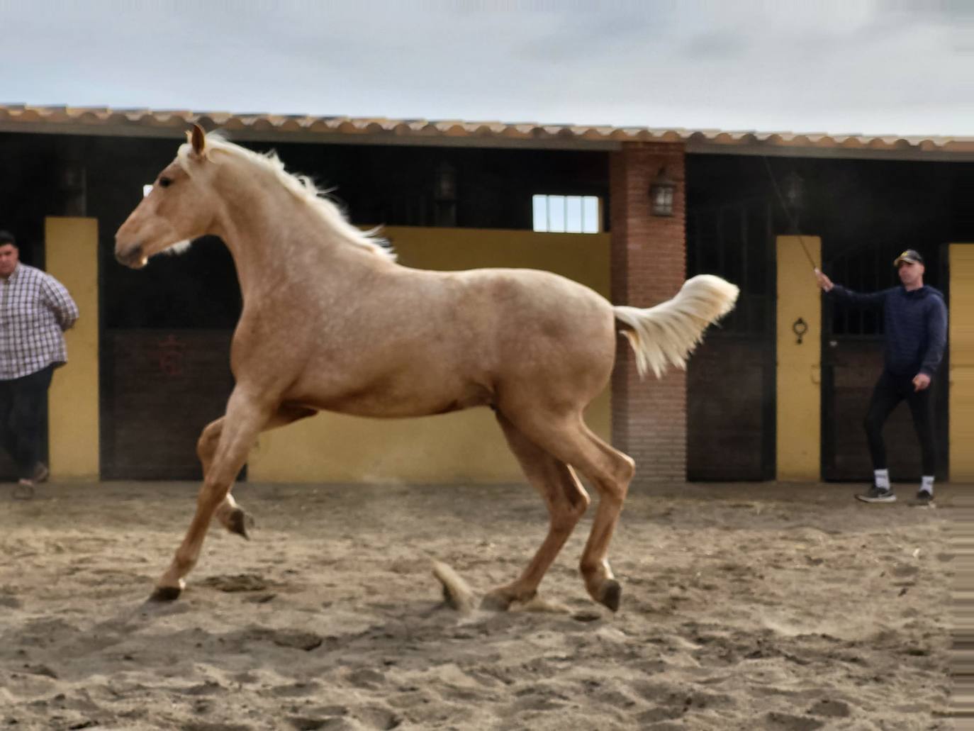 Vecinos de La Mojonera visitan la yeguada de Pérez Monteagud en Uleila