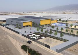 Amat anuncia dos piscinas, una de ellas para continuar con la Ciudad Deportiva