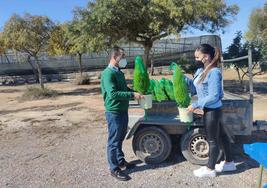José Miguel Hernández y Jennifer Sánchez reparten árboles en la plantación del año pasado.