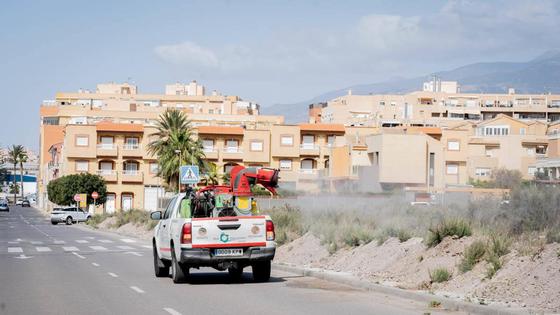 Roquetas pide la colaboración ciudadana para combatir la plaga de mosquitos