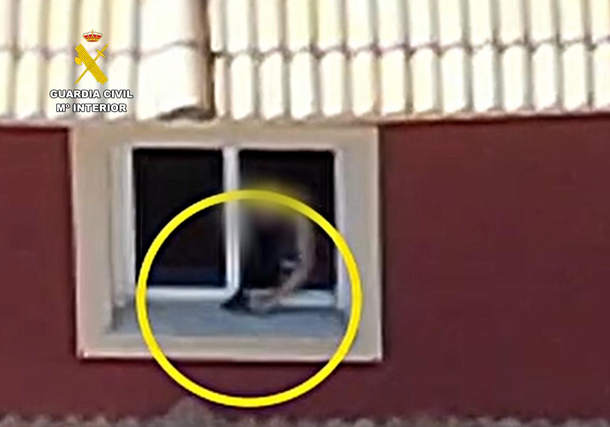 Momento en el que el detenido deja la pistola en la ventana.
