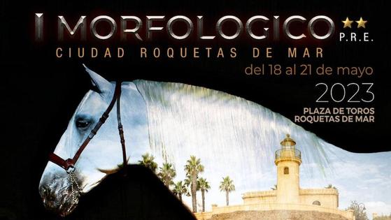 Caballos de pura raza española protagonizan el fin de semana en Roquetas