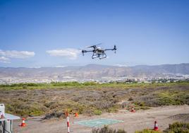 Los drones sobrevuelan la Ribera de la Algaida para luchar contra los mosquitos