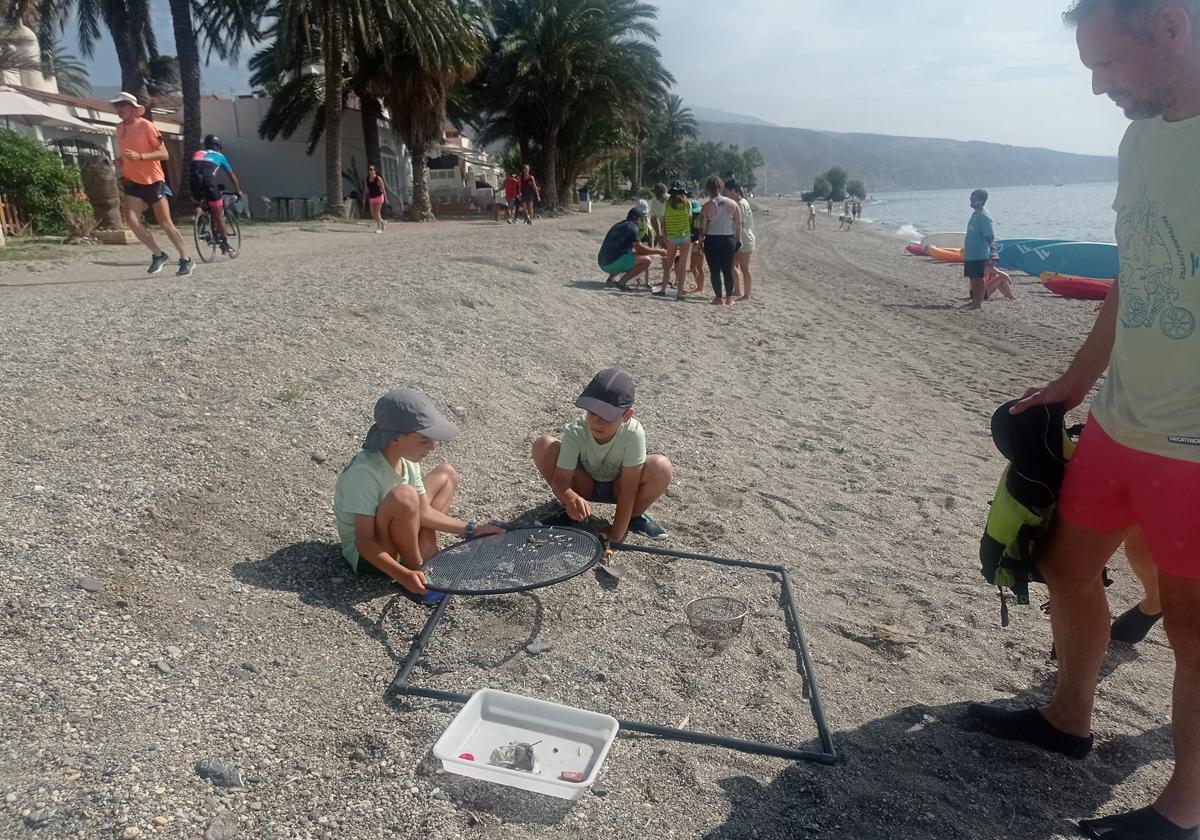 Más de 7 trozos de plástico y 6 colillas en cada metro cuadrado de playa