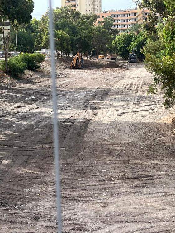 Tala de árboles en la Rambla de San Antonio.