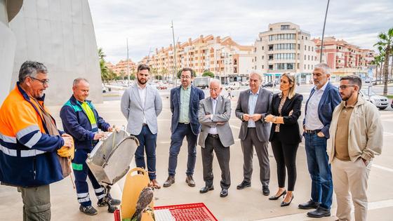 Roquetas pone control a las aves urbanas