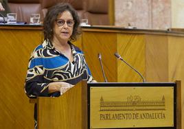 Salud defiende el gasto del hospital público de Roquetas y el PSOE cuestiona la construcción de uno privado