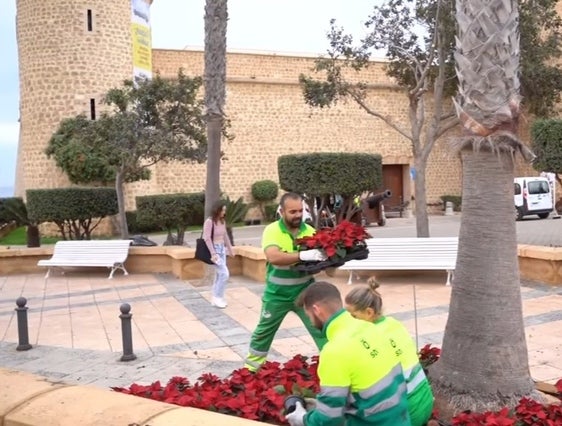 Servicios municipales embellecen la zona con pascueros.