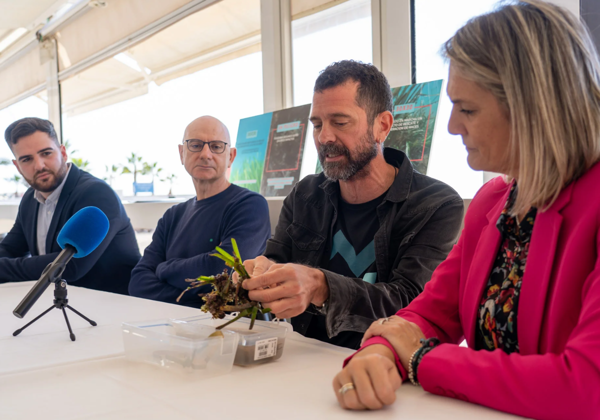 Roquetas tomará medidas para mejorar el ecosistema marino