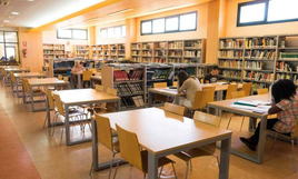 Interior de una de las bibliotecas del municipio roquetero.