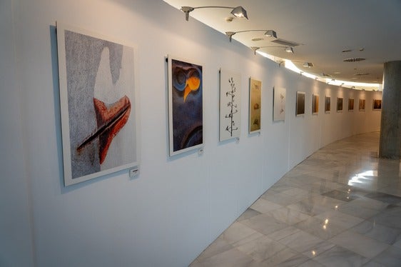 Algunos cuadros de la exposición de Roquetas de Mar.