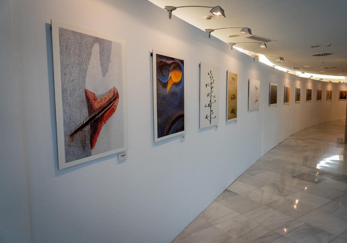 Algunos cuadros de la exposición de Roquetas de Mar.