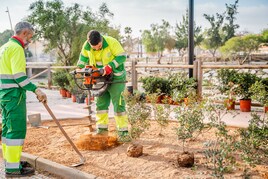 Trabajadores municipales reponiendo plantas en el municipio.