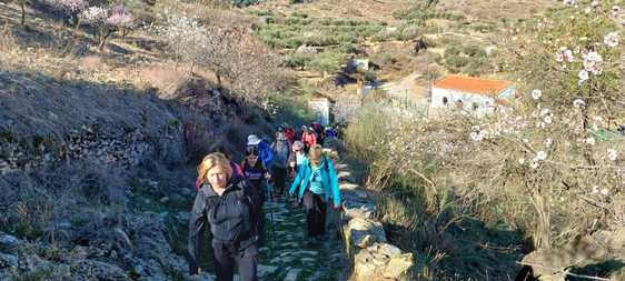 Algunos de los senderistas que recorrieron los alrededores de Tahal.