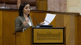 La parlamentaria de la formación ultraconservadora, Mercedes Rodríguez.