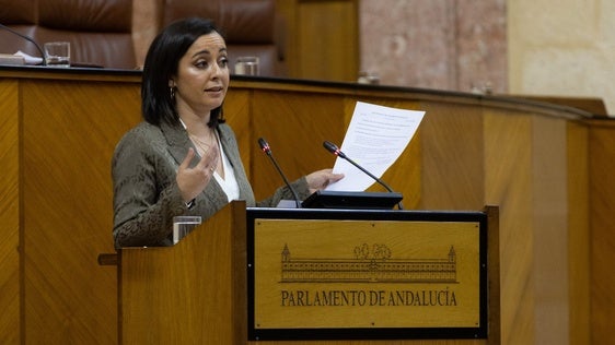 Las quejas por la situación del CEIP La Molina llegan al Parlamento andaluz