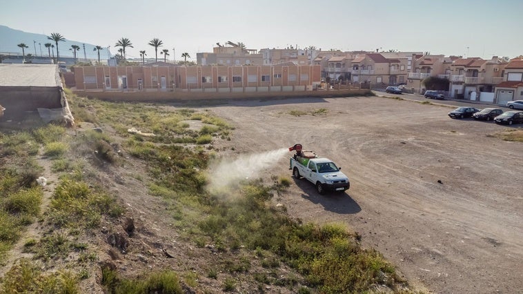 «Los mosquitos nos comen. No se puede salir a la calle, ni hacer deporte en la zona»