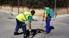 Dos operarios de la empresas 'No Más Bichos' en la localidad vicaria.