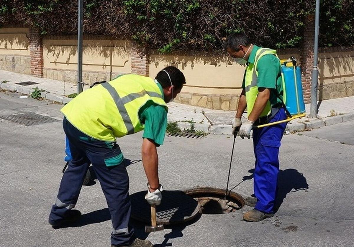 Dos operarios de la empresas 'No Más Bichos' en la localidad vicaria.