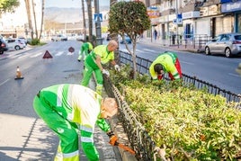 Varios trabajadores se encargan de labores de poda en la localidad costera de Roquetas de Mar.