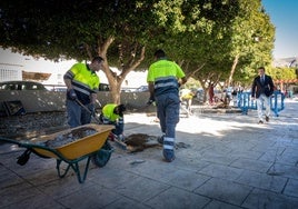 Varios trabajadores se encargan de las labores de mantenimiento en Roquetas de Mar.