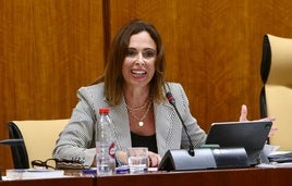 La consejera de Fomento, Articulación del Territorio y Vivienda, Rocío Díaz, en una intervención en el Parlamento andaluz.