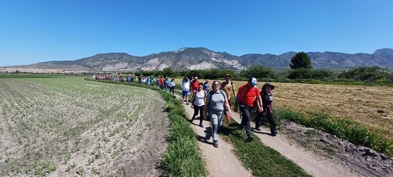 Uno de los senderos realizados durante este año.