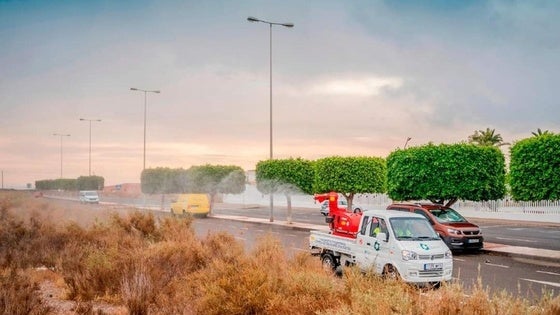 Roquetas realiza labores de fumigación de bichos y mosquitos en El Parador