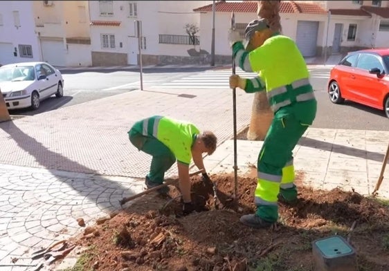 Dos trabajadores se encargan del mantenimiento de jardines en el municipio.