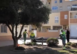 Trabajadores se encargan del mantenimiento del barrio.