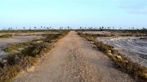 Retiran más de mil kilos de basura de la Ribera de la Algaida con motivo del Día Mundial de los Humedales
