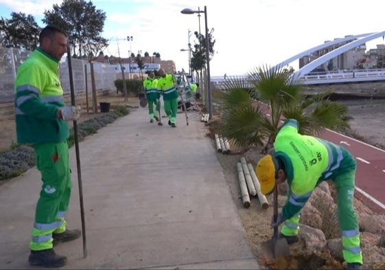 Trabajadores realizan labores de mantenimiento y jardinería en los alrededores de la Rambla del Cañuelo.