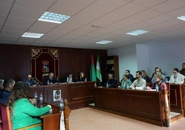 El Pleno, realizado en el Ayuntamiento de Vícar, aprobó uno de los proyectos estrella de la legislatura.