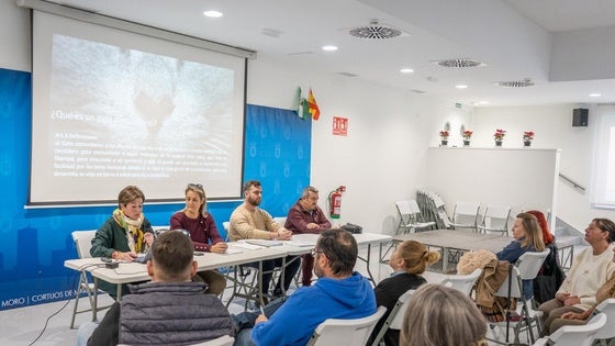 Roquetas realiza el primer encuentro para abordar el programa de sobre las Colonias felinas