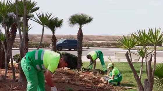 Roquetas realiza labores de jardinería en Playa Serena