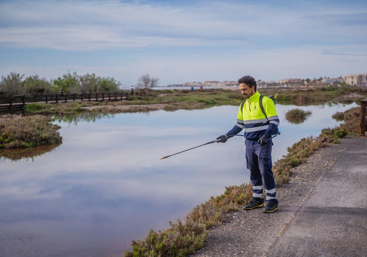 Ribera de la Algaida es uno de los humedales de Roquetas.