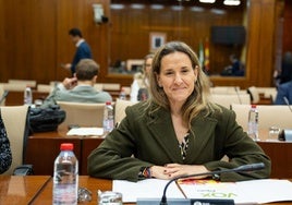 La parlamentaria andaluza, Montserrat Cervantes.