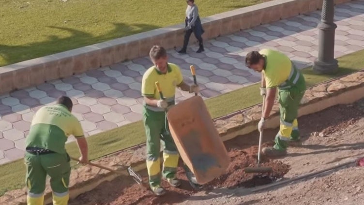 Plantas xerófilas: la apuesta de Roquetas de Mar para la sostenibilidad en el municipio