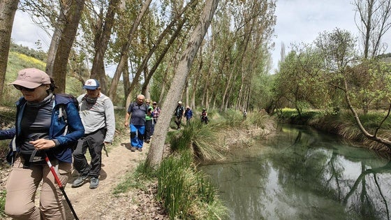 Medio centenar de senderistas recorren El Bosque Encantado de Higueras