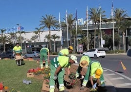 Trabajadores realizando labores de jardinería en una de las rotondas más icónicas de Roquetas.