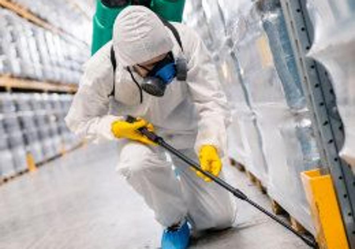 Killsur, la empresa almeriense que elimina las plagas