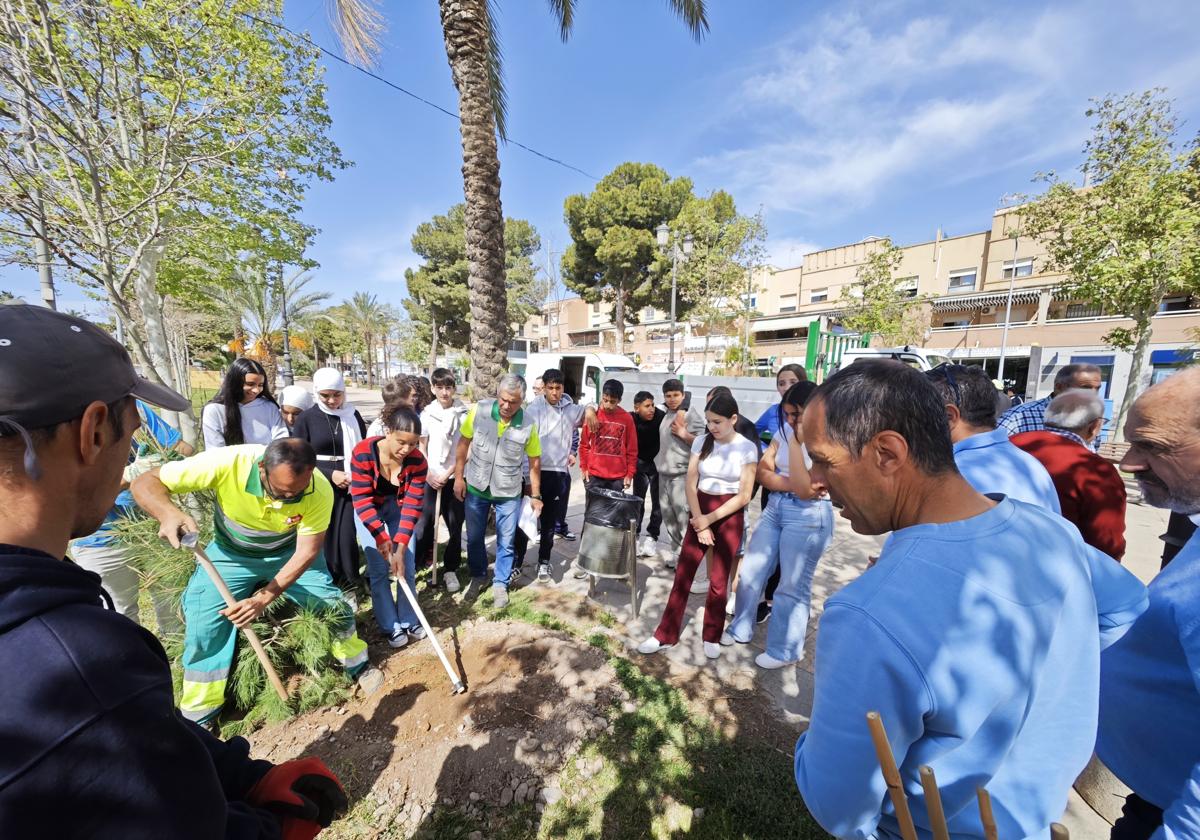 Vícar planta más de 1500 nuevas plantas y arbolado para llenar de verde todo el municipio